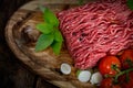 Minced meat Royalty Free Stock Photo