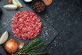 Minced meat on a flat plate with spices and onions on a black background. Side view, horizontal. Royalty Free Stock Photo