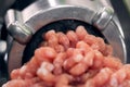 Minced meat grinder close-up Royalty Free Stock Photo