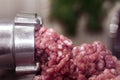 Minced meat grinder close-up Royalty Free Stock Photo