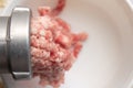 Minced meat grinder Royalty Free Stock Photo