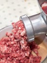 Minced meat grinder Royalty Free Stock Photo