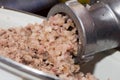 Minced meat grinder Royalty Free Stock Photo