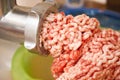 Minced meat grinder Royalty Free Stock Photo