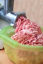 Minced meat grinder Royalty Free Stock Photo