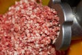 Minced meat grinder Royalty Free Stock Photo