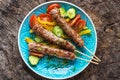 Minced meat kebab with fresh vegetable Royalty Free Stock Photo