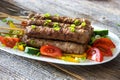 Minced meat kebab with fresh vegetable Royalty Free Stock Photo