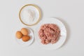 Minced meat for making cutlets. Cooking at home Royalty Free Stock Photo