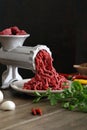 Minced meat with metal machine Royalty Free Stock Photo