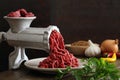 Minced meat with metal machine Royalty Free Stock Photo