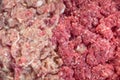 Minced meat from pork and beef Royalty Free Stock Photo