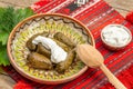 Minced meat suffed grape leaves, balkan traditional food