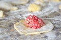 Minced meat on test piece for the preparation of pies