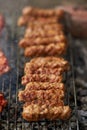 Minced pork rolls on barbecue