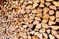 Minced wooden logs stacked in woodpile Royalty Free Stock Photo