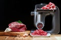 Mincer electric with fresh minced meat.