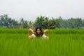 Mind and body connection with nature - middle aged attractive and happy Asian Chinese woman in Summer dress enjoying idyllic Royalty Free Stock Photo