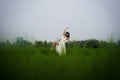 Mind and body connection with nature - middle aged attractive and happy Asian Chinese woman in Summer dress enjoying idyllic