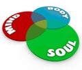 Mind Body Soul Venn Diagram Total Wellness Balance