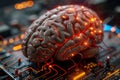 Mind machine fusion Human brain intricately connected to a computer system