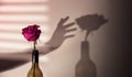 Mind and Mental Health in Love and Relationship Concept. Hand try to Reach a Shadow of Pink Rose Flower on the Wall