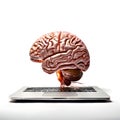 Mind Merge: Synergy ofElectronics & Brain