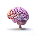 Mind Merge: Synergy ofElectronics & Brain