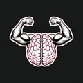 Mind Over Matter brain vs. biceps icon split, clever visual metaphor, with thick white sticker-style outline around the design, Royalty Free Stock Photo