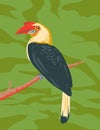 Mindanao Wrinkled Hornbill or Aceros leucocephalus WPA Art