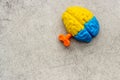 Mindfulness concept. Brain model with key as symbol of mental power
