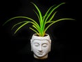 mindfulness eco-friendly buddha statue isolated with black background from different angle