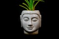 mindfulness eco-friendly buddha statue isolated with black background from different angle