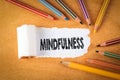 Mindfulness. Meditation, Balance and Stress Reduction concept