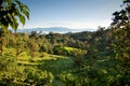 Mindo, Ecuador cloud forest Royalty Free Stock Photo