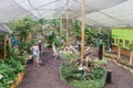 People visit Mariposario The Butterfly House