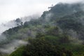 Mindo Tandayapa Cloud Forest, Ecuador Royalty Free Stock Photo