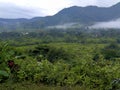 Mindo Valley Ecuador 844450