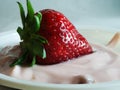 Strawberry Bliss_Luscious Fruit in Creamy Sunlight