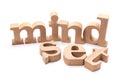 MINDSET Wood Letters