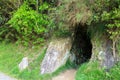 An old abandoned mine tunnel, being reclaimed by nature Royalty Free Stock Photo