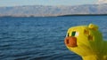 Minecraft plush toy of Ocelot cat sunbathing in afternoon sunshine in Nin bay.