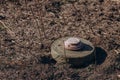Minefield on wartime front lines. Explosive device near former frontlines left in the field