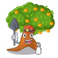 Miner cartoon orange tree beside the house