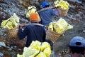 MINER COLLECTING SULFUR ON KAWAH IJEN VOLCANO Royalty Free Stock Photo