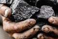 Miner dirty hands holding piece of fossil lignite coal mine