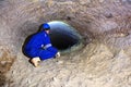 Miner man underground in a mine tunnel. Worker in overalls, safety helmet