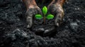 a miner's hands delicately planting a green plant amidst a coal heap, a commitment to environmental stewardship