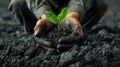 a miner& x27;s hands delicately planting a green plant amidst a coal heap, a commitment to environmental stewardship