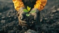 a miner& x27;s hands delicately planting a green plant amidst a coal heap, a commitment to environmental stewardship